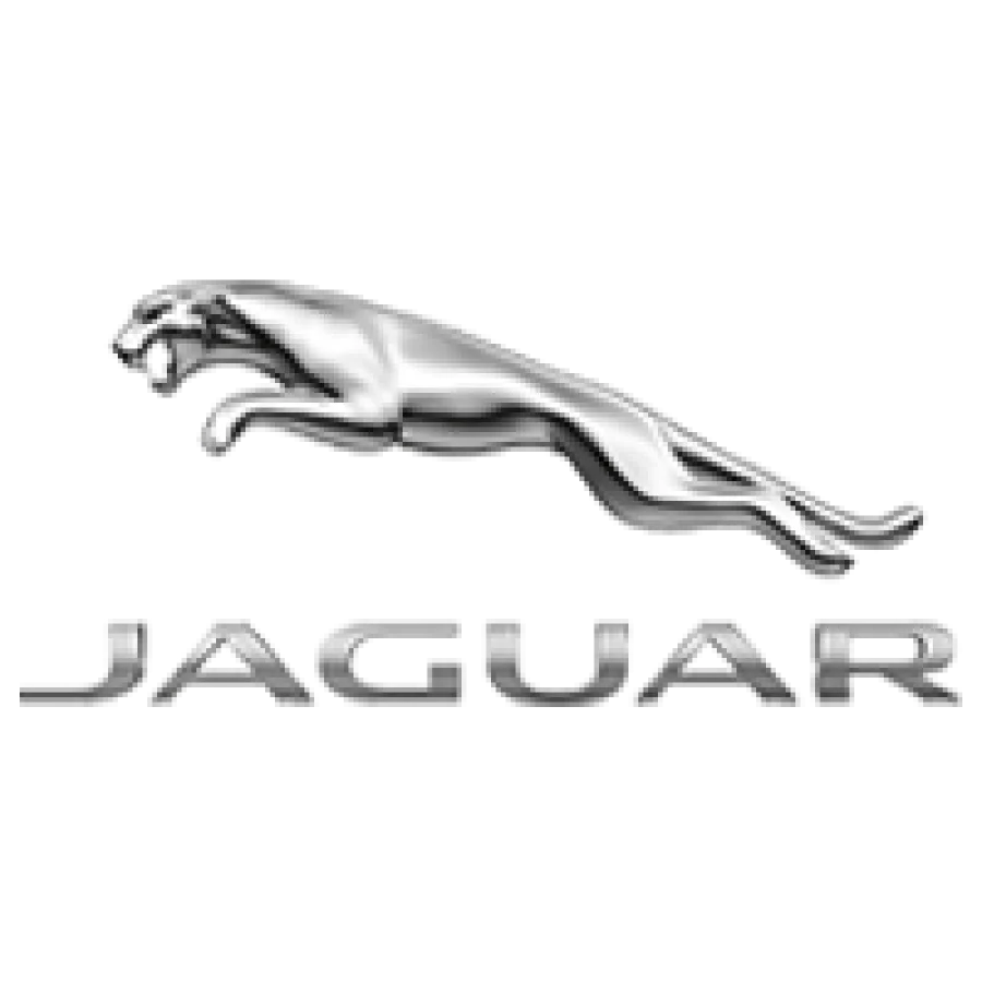 jaguar.webp